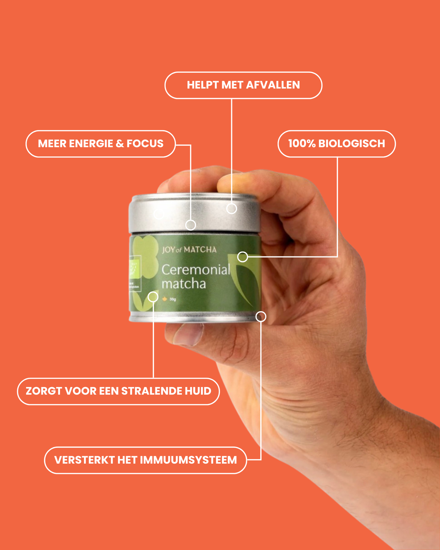 Luxe Matcha Set BIO Joy of Matcha